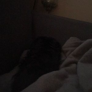 Meet your Posher, Vicki